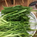 본떼감자탕 이미지