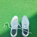 인그래인 골프클럽 이미지