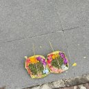 닥터카서비스 | 발리 스미냑 거리 완벽정리 | 쇼핑, 맛집,마사지,마트 솔직한 방문후기와 총정리