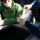 와이지바이오 이미지