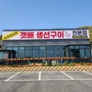 강화도 생선구이 맛집 [강화도 갯배생선구이] 다녀온 후기!