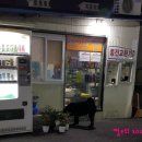 그린24시셀프세차장 이미지