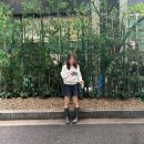 소비기록 - 누스 레인부츠, 와이주얼리 목걸이, 아뜰리에 드 루멘 펠린느백