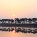 계화도마을 이미지