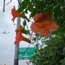 CU동일하이빌 이미지