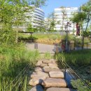 서울식물원 이미지