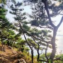 마린힐즈 이미지