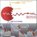 동일얼음