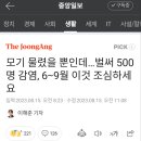 모기 물렸을 뿐인데..말라리아 환자 벌써 500명.넷플릭스 바이오 해커스./모기 매개 감염병 빌드업 이미지