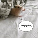 냠냠 네이버블로그