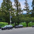 창원 가음정동 고분군 이미지