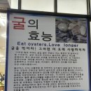 김명자 굴국밥 (가산한라시그마 밸리점) | 가산동 굴국밥[김명자굴국밥]비오는날 굴전/굴국밥 궁합최고!