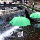 송학한정식 이미지