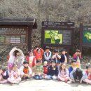 금병초병설유치원 이미지