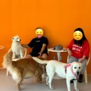 울루라떼 이미지