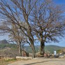 248차 2026년4월11일(둘째주토요일) 설흘산(488m) 산행 이미지