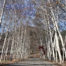 배나무펜션 | [강원 인제] 가족 여행 자작나무길이 멋진 나무펜션 인제 겨울여행