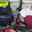 개키우는 언니 | 고양이 키우는 집에 180cm 트리 설치한 후기