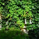 향촌여관 이미지