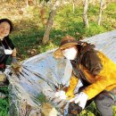 모싯골농장 이미지