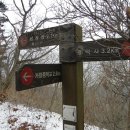 대림생수 이미지