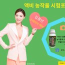 실패없는농산물