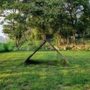 드린겐 애견테마파크 이미지