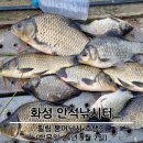 [화성] 안석 낚시터 붕어낚시 조행기 (24년 9월 7일)