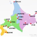 맵go마싯go | 삿포로 비에이투어 혼자 여행 후기