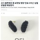 농업회사법인(주)블랙푸드