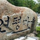 완사약국 이미지