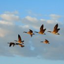 고향생각 이미지