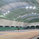 을숙도 테니스장 이미지