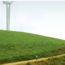 거창목장 이미지