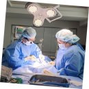 다온동물병원 이미지