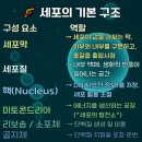 메디칼현대약국 이미지