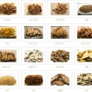 (주)청담허브 이미지