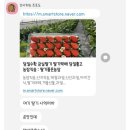 기품농장 네이버블로그