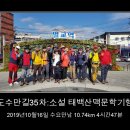 소설 태백산맥 문학기행길 Daum카페