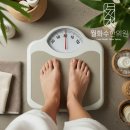 서울한의원 | 서울다이어트한의원 비대면처방 성지 후기 비용도 투명하게!!