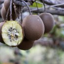 청해농장 이미지