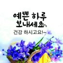 예쁜하루 이미지