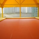 멘토 경희대 태권도 교육관 이미지