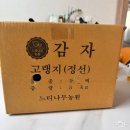 쫀득한 감자전을 위한 바이더홈즈 강원도 정선 햇감자