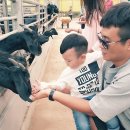 이동국농장 이미지