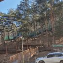 둥지휴양림 | 아이에게 선물한 '마음껏 뛸 자유' 영양에코둥지(흥림산자연휴양림)