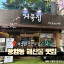 거북인테리어 | [광주 풍암동 해산물 맛집] 거북집 솔직후기｜생새우회와 해산물 물회가 맛있는 풍암동술집