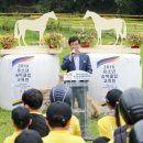 태백승마클럽 이미지