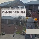 리벤시아스테이 | 독채숙소 리벤시아스테이제주 : 리벤시아 스테이 제주 8명 대가족 칠순 기념 숙소로 완벽했던 곳 솔직후기