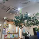 오창사랑의원 이미지